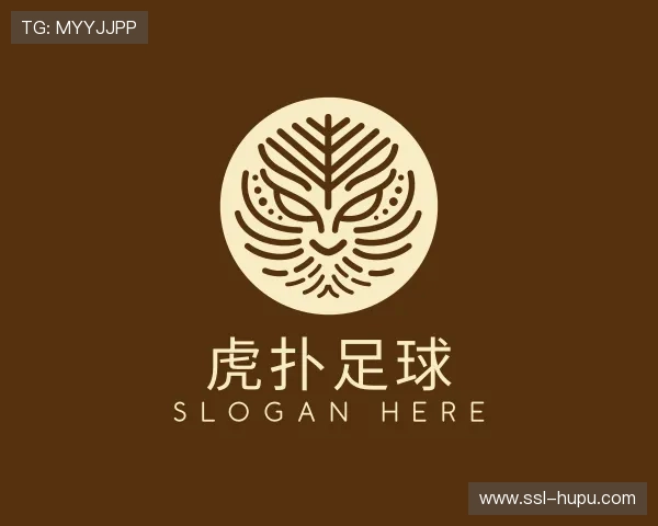 了解虎扑足球网页版